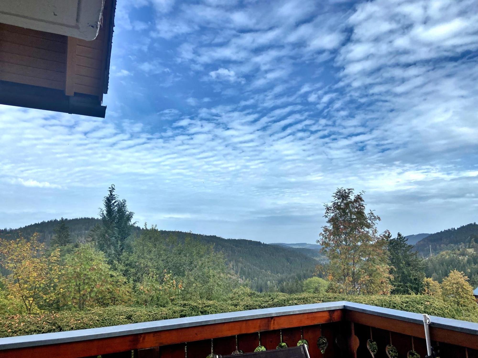 Ferienwohnung Seeblick Nr 2 5-Zimmerwohnung - Feldberg Baerental Rotwasser 외부 사진